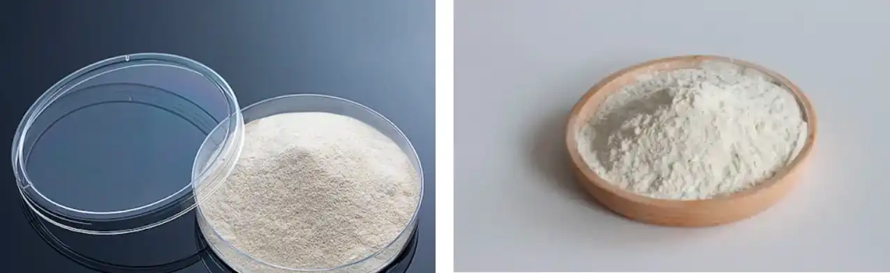 organic xanthan gum powder