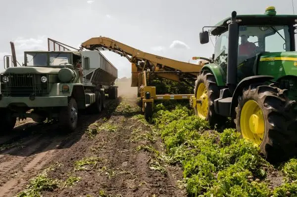 Improving Agricultural Waste Digestion