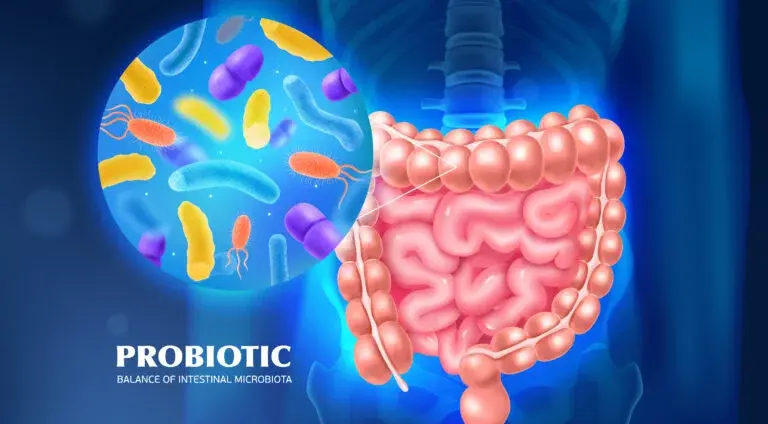 Improved Gut Health and Microbial Balance