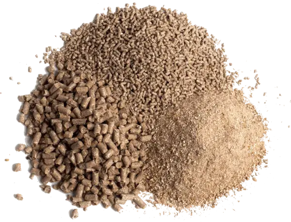 Why Is Calcium Formate Powder Considered an Effective Feed Acidifier? Why Is Calcium Formate Powder Considered an Effective Feed Acidifier?