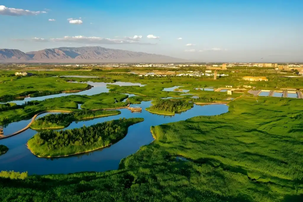 Environmental Impact Assessment Environmental Impact Assessment