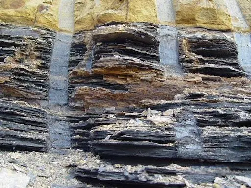 Shale Stabilization Mechanisms Shale Stabilization Mechanisms