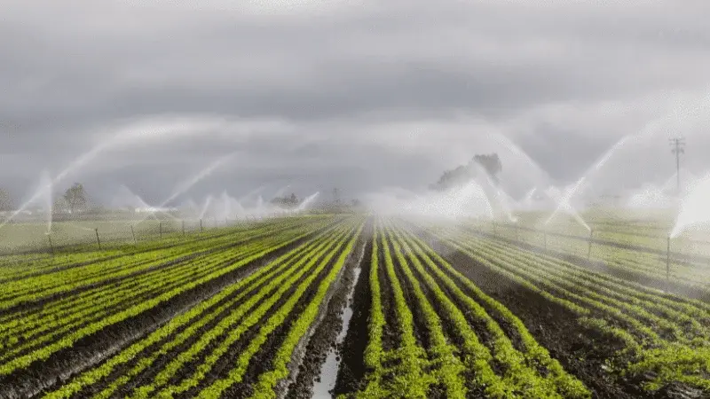 Irrigation System Integration