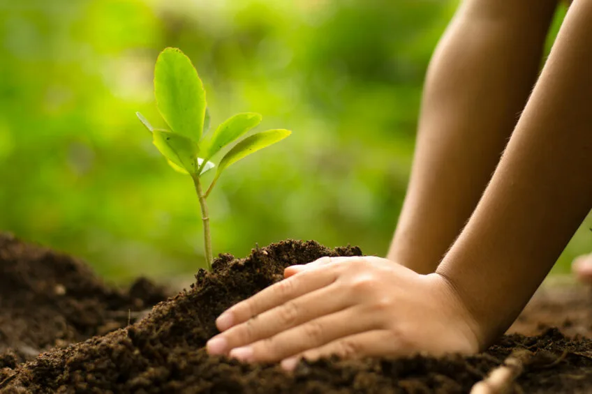 Reduced Environmental Impact