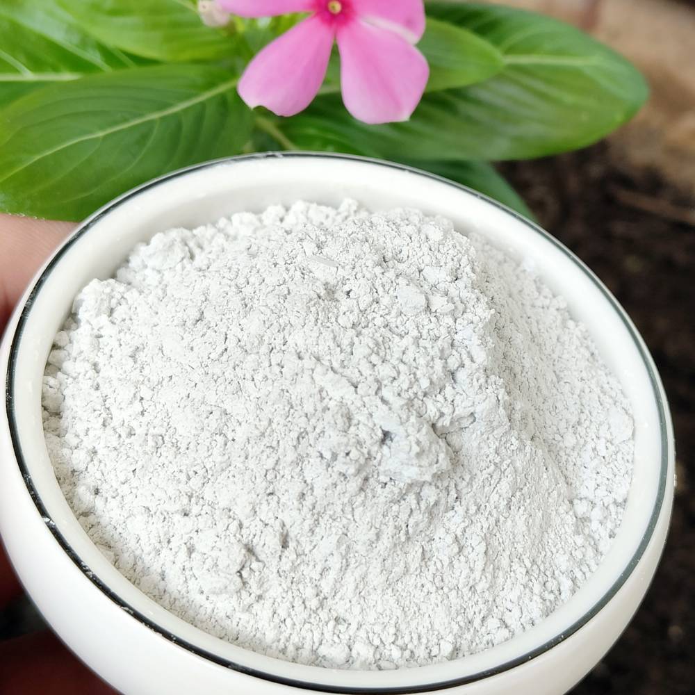 Drilling Grade Starch: Pioneering Biodegradable Drilling Fluids